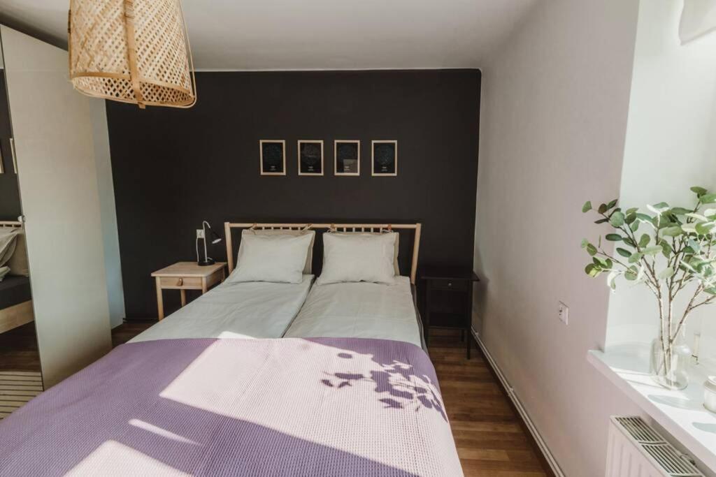 Piastowska Sleeping - Mieszkanie W Centrum Miasta Krosno Kültér fotó
